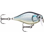 leurre-rapala-x-light-crank-shallow-runner-35mm-2-bap.jpg