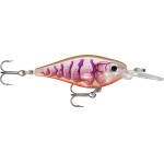 leurre-rapala-x-light-shad-40mm_pupu.jpg