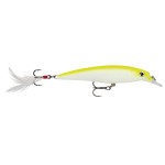 leurre-rapala-x-rap-100mm-13-sfcu.jpg