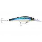 leurre-rapala-x-rap-magnum-xtreme-160mm-12.jpg