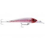 leurre-rapala-x-rap-magnum-xtreme-160mm-13.jpg