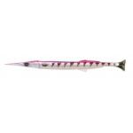 leurre-savage-gear-3d-line-thru-needlefish-pulsetail-2-1-pink-barracuda.jpg