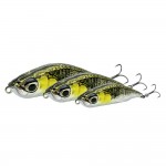 leurre-savage-gear-3d-sticklebait-pencil-coulant-55mm-6.jpg