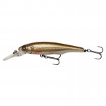 leurre-savage-gear-gravity-twitch-mr-85mm-3-dirty-roach.jpg