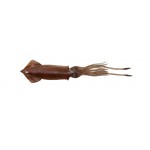 leurre-savage-salt-3d-swim-squid-95mm-brown-uv.jpg