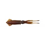 leurre-savage-salt-3d-swim-squid-95mm-red-brown.jpg