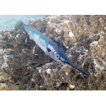 Photos de Leurre souple Top Sea FishArt Orphie