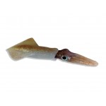 leurre-souple-squidart-chipiron-naturel.jpg