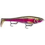 leurre-x-rap-peto-200mm-couleur-rtl.jpg