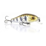 leurre-zip-baits-rigge-43-sp-7.jpg