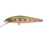 leurre-zip-baits-rigge-flat-70s-7-126.jpg