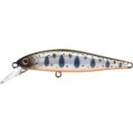 leurre-zip-baits-rigge-flat-70s-8-316.jpg