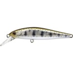 leurre-zip-baits-rigge-flat-70s-9-810.jpg