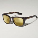 lunettes-big-fish-gold-fish-2-gold-fish-trout-gold-iridium.jpg