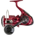 moulinet-daiwa-bg-rr-ark.jpg