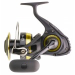 moulinet-daiwa-gold-silver-gs-9-ii.jpg