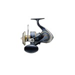 moulinet-daiwa-salitga-2020.jpg