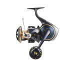 moulinet-daiwa-saltiga-2025-10000p.jpg