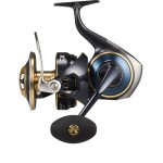 moulinet-daiwa-saltiga-2025-25000p.jpg