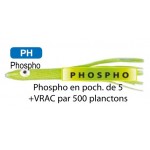 planctons-flashmer-6-cm-3-phospho.jpg