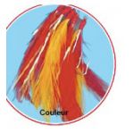 plumes-filaments-couleur.jpg