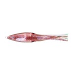 swimming-squid-02-brown-clear-pink-marron-rose.jpg