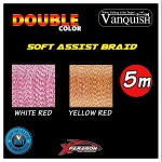 tresse-assist-braid-x-paragon-double-color.jpg