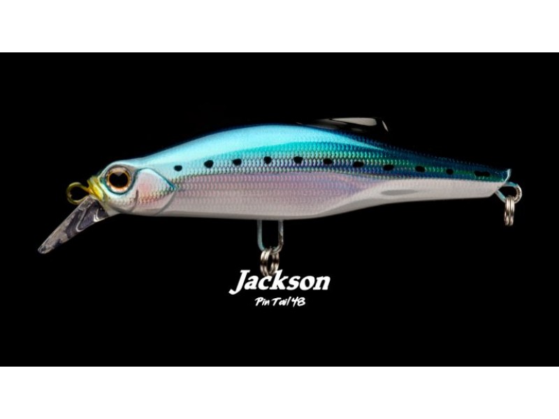 Leurre Jackson Pintail - 100 mm