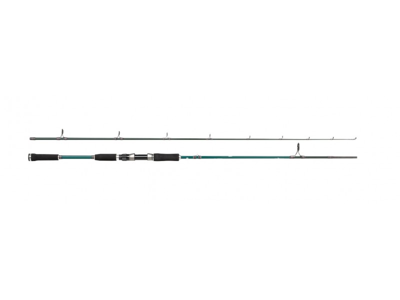 Canne Abu Garcia Beast X Spinning Rod