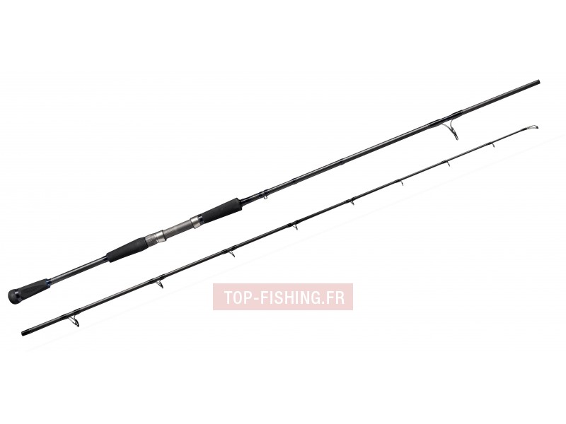canne-abu-garcia-fantasista-beast.jpg