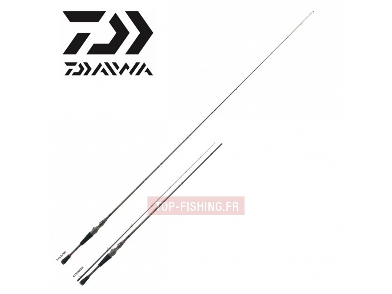 canne-casting-daiwa-ballistic.jpg