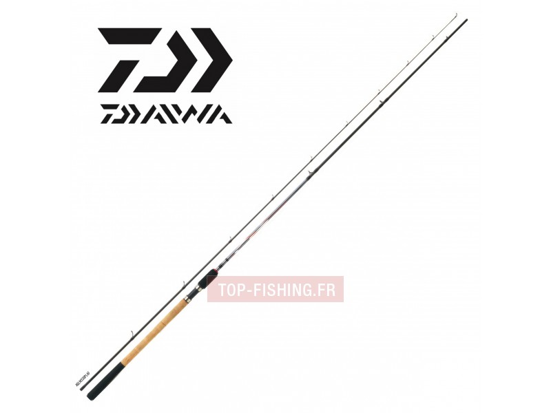 canne-daiwa-aqualite-match.jpg