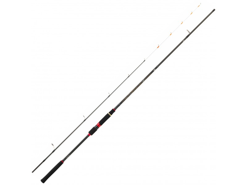 canne-daiwa-ballistic-x-tenya.jpg