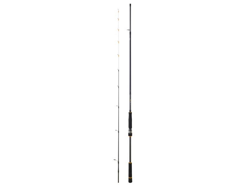 Canne Daiwa BG Tenya Game