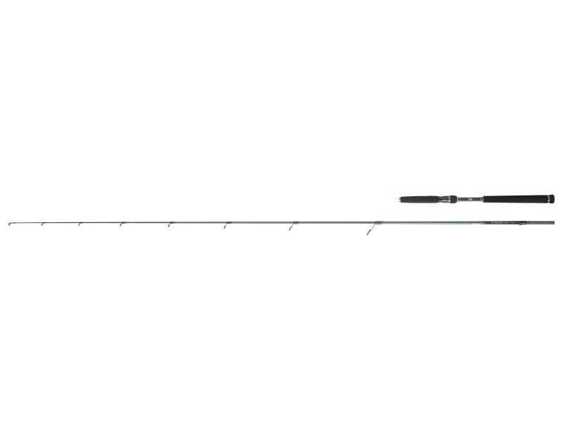 Canne Daiwa Caldia Seabass