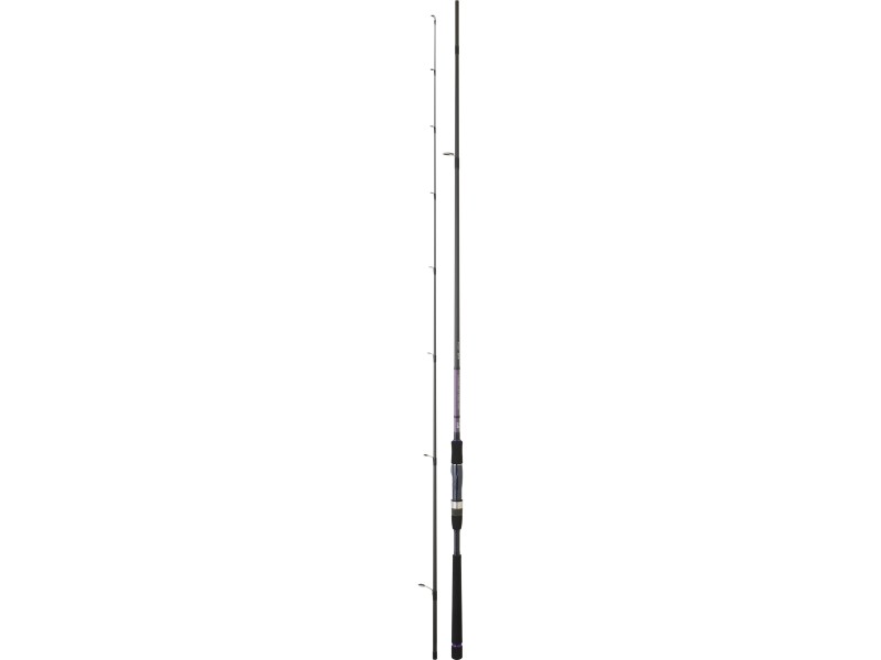 Canne Daiwa CrossCast Seabass