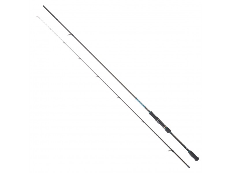 Canne Daiwa Emeraldas AGS