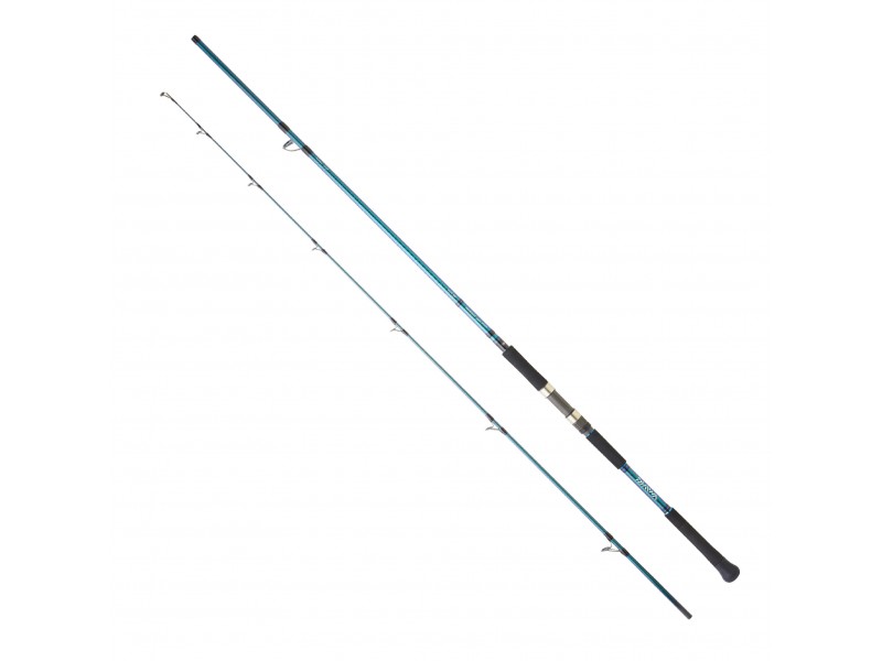 Canne Daiwa GrandWave Shore Jigging