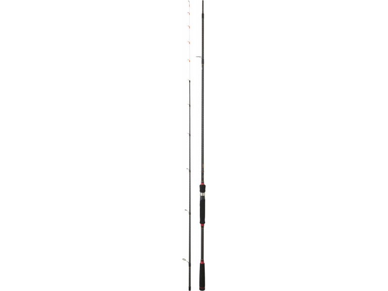 Canne Daiwa Legalis Tenya