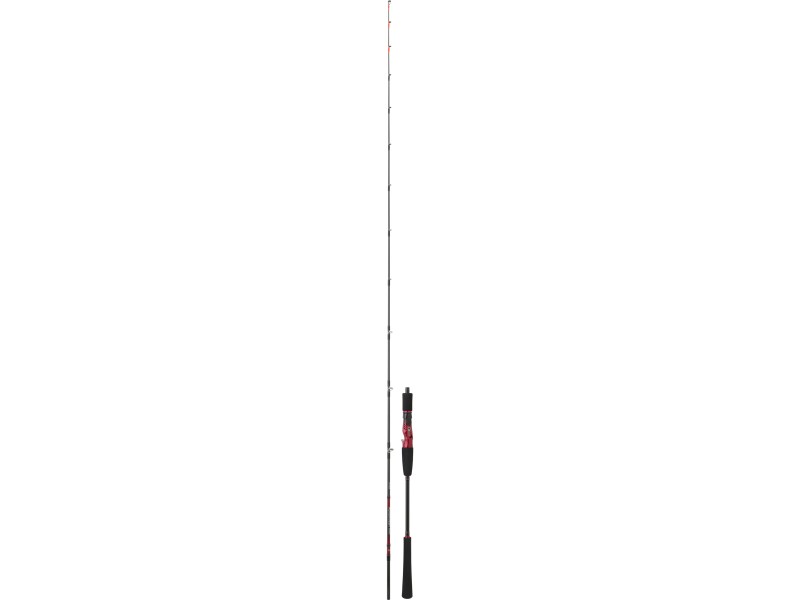 Canne Daiwa Megaforce Big Fish