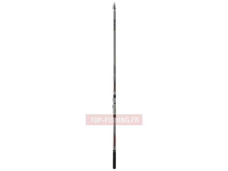 canne-daiwa-procaster-iso-450tm15ac.jpg
