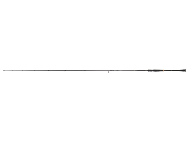 Canne Daiwa Prorex XR Spinning