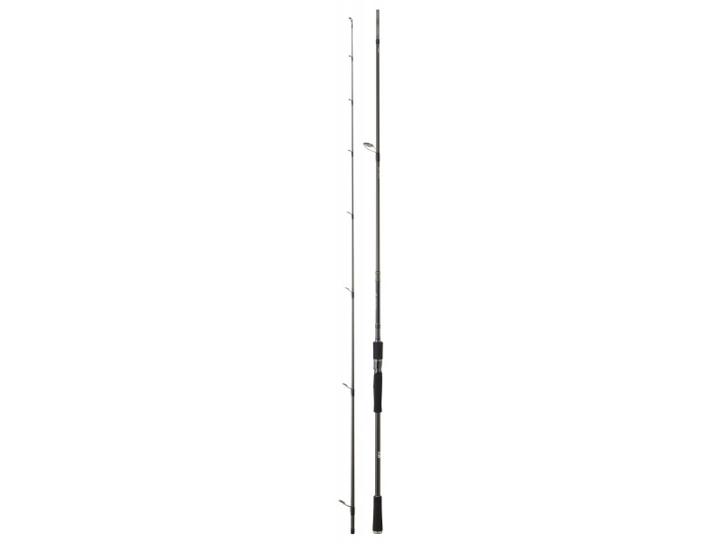 Canne Daiwa Prorex XR Spinning
