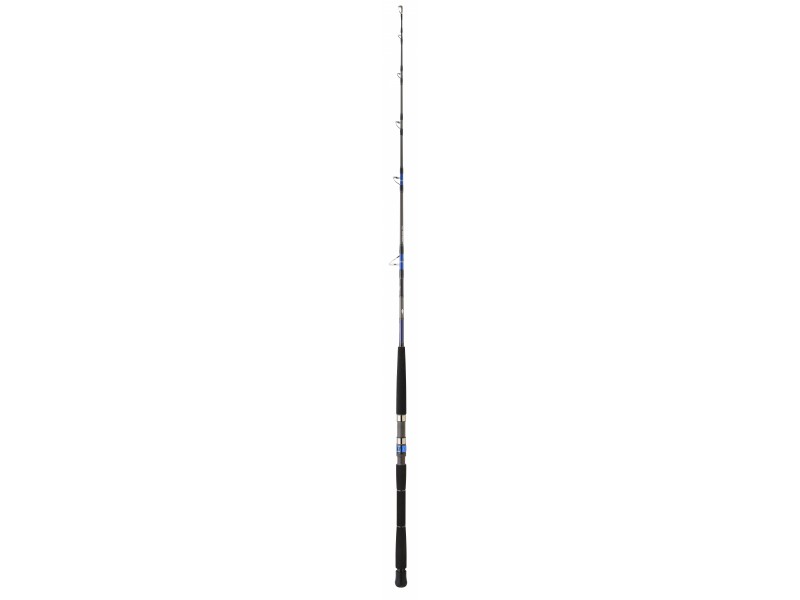 Canne Daiwa Saltiga Deep EX