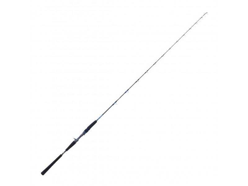 canne-daiwa-saltiga-bay-jigging-xxhbbf.jpg