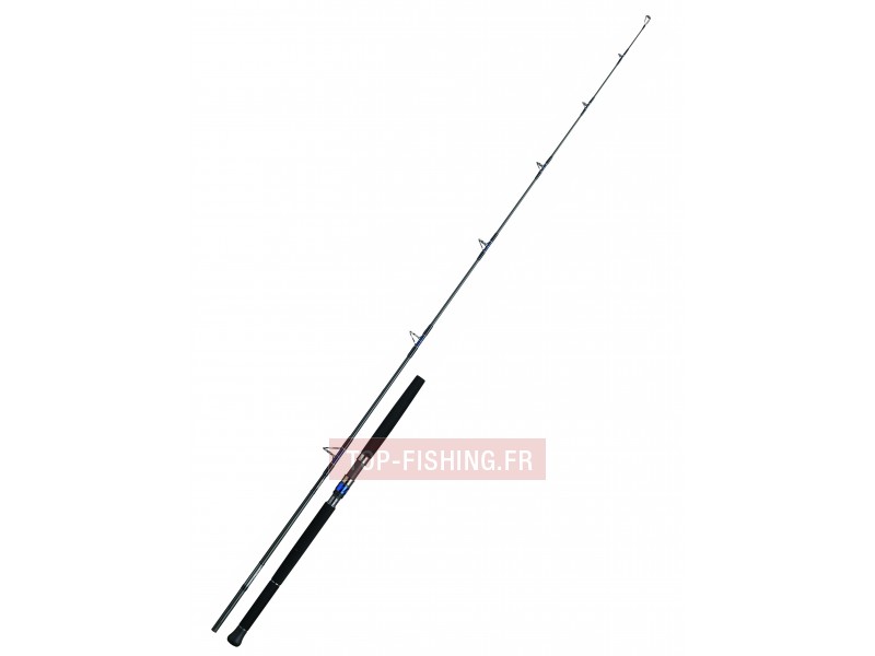 canne-daiwa-saltiga-casting-76.jpg