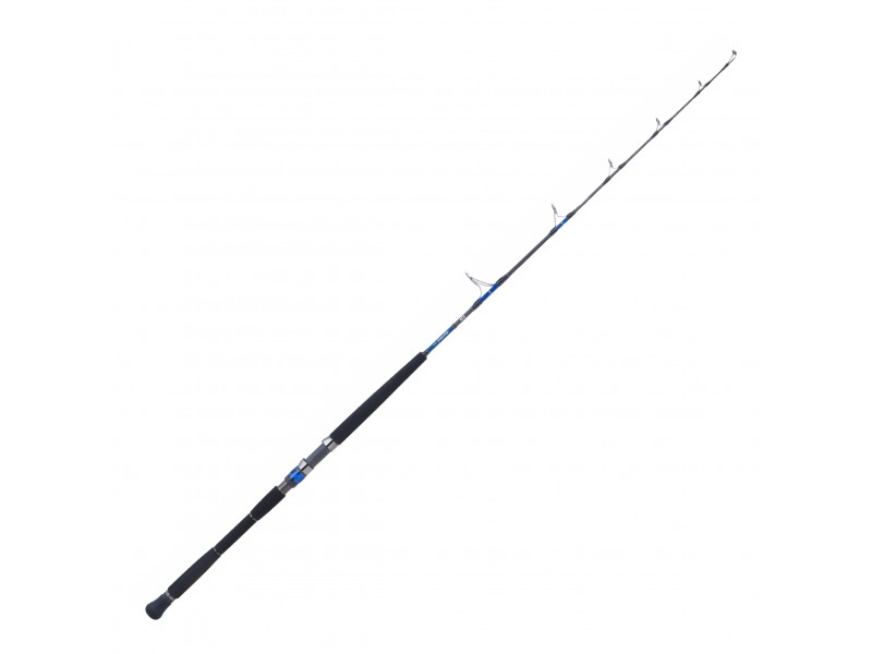 Canne Daiwa Saltiga Deep 55