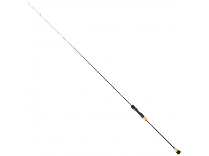 Canne Daiwa Saltiga Slow Jigging