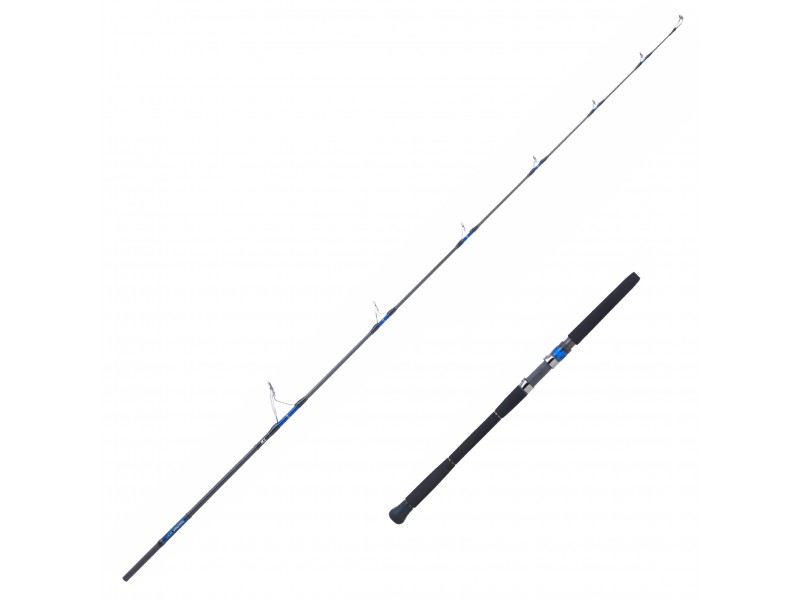 Canne Daiwa Saltiga Spinning