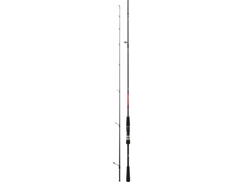 Canne Daiwa Saltist Seabass